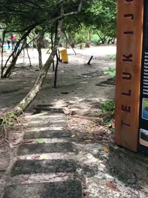 Walking Down Path to Teluk Ijo Green Bay Beach in Indonesia Vidéo 339973773