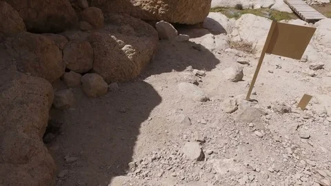 Walking Down Path Toward Mountain Spring Stock Footage 77880067