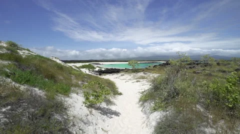 Walking Down Path Towards Beach in Galapagos Stock Footage 58356543
