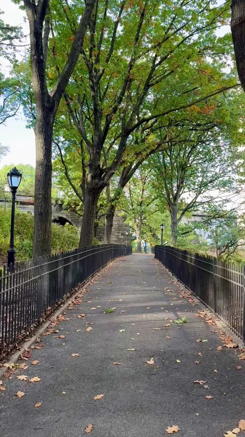 Walking down a path with trees in the fall in Riverside Park, NYC Stock Footage 320083604