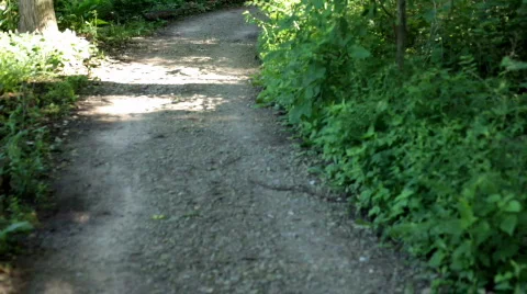 Walking down path in woods Handheld 스톡 동영상 756504