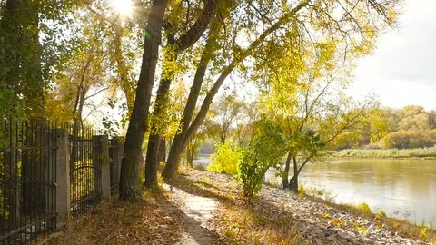 Walking down a pathway by the shore of a river Stock Footage 71254914