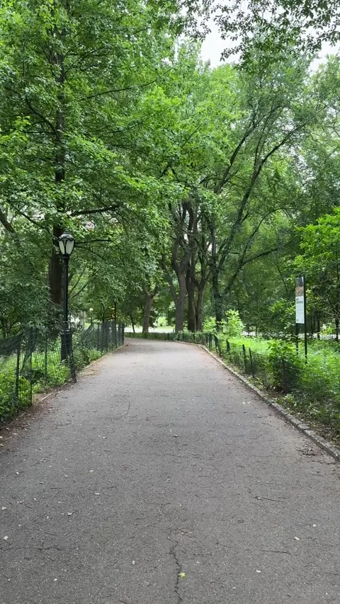 Walking down a paved path in the woods in Central Park, NYC Stock Footage 321495172