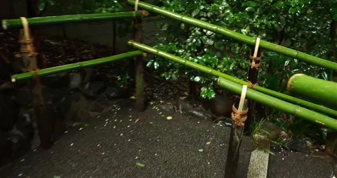 Walking down rainy Tokyo garden stairs with bamboo railings. Vídeos de archivo 333059905