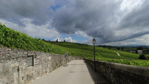 Walking down the road in green vineyard in rustic Swiss countryside Stock Footage 164230700