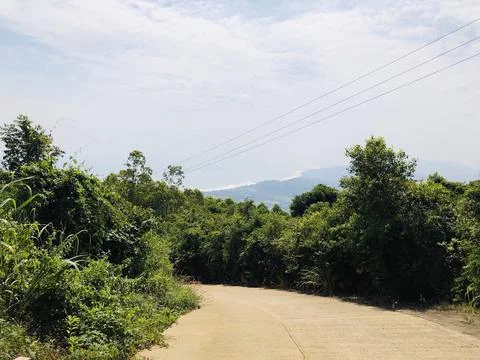 Walking down the road Stock Photos