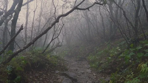 Walking Down a Rugged Mountain Path in the Fog In Fall Stock Footage 96720104