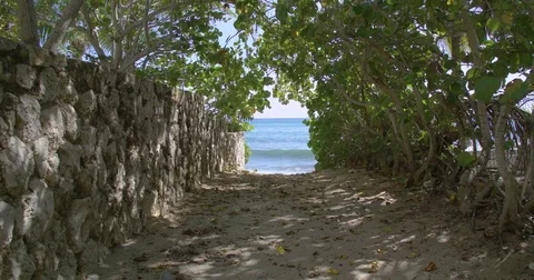Walking down shaded pathway towards the beach Stock Footage 80291250