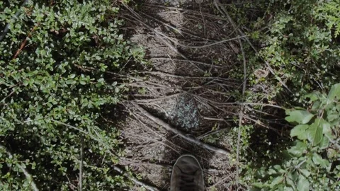 Walking down stairs overgrown with plants 動画素材 79604072