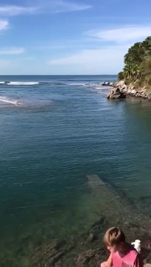 Walking Down Stairs with Surf Board Vertical SD Stock Footage 175885031