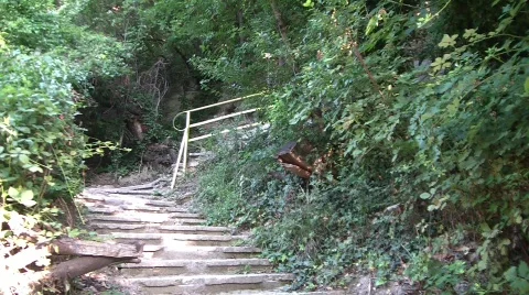 Walking down the stairs through a garden Stock Footage 519304