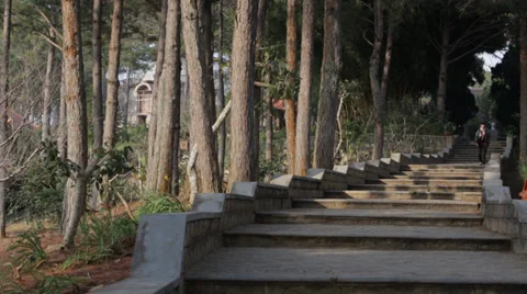 Walking Down the Steps of A Pagoda Видео 35561676