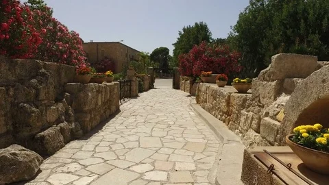 Walking Down Stone Path With Flowers Видео 77691445