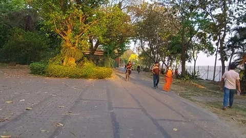 Walking down the street between the Ganges and the Botanical Garden . Stock Footage 172560345
