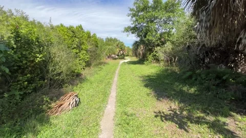 Walking down a trail looking left right left Vídeo Stock 221274452