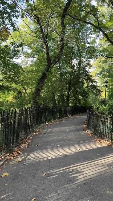 Walking down a tree-lined paved path in the fall in Riverside Park, NYC Stock Footage 321506460
