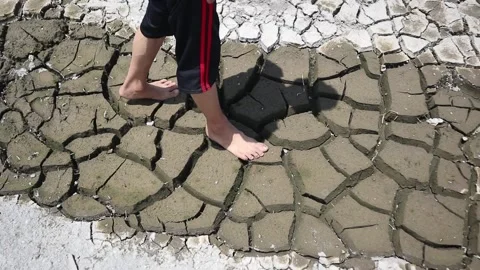 Walking on dry, cracked ground during a prolonged drought. Vidéo 330829547