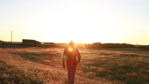 Walking in a dry field 2 Video stock 154713201