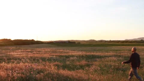 Walking in dry field Video stock 154714126