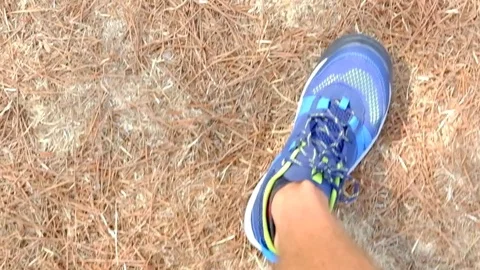 Walking on dry grass, too Drought Stock Footage 80496398