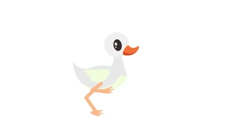 Walking Duck Stock Footage 195943798
