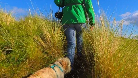 Walking In The Dunes Medium V3-0004 Stock Footage 96715583