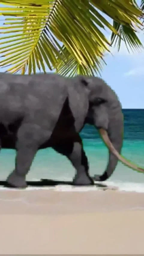 Walking Elephant on the Beach - 9x16 Stock Footage 313810889