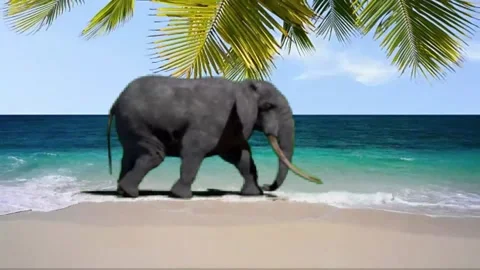 Walking Elephant on the Beach Stock Footage 313810890