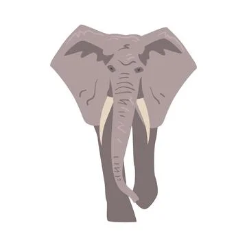 Walking Elephant as Large African Animal with Trunk, Tusks, Ear Flaps and Stock Illustration