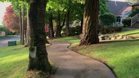 Walking on empty footpath on a beautiful sunny day. Stock Footage 132339223