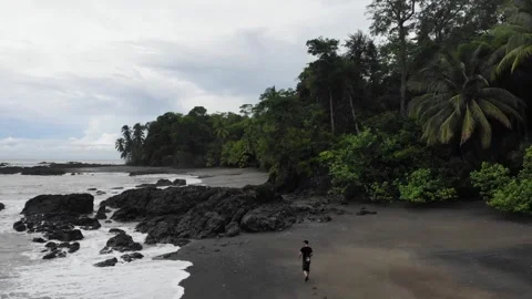 Walking on EMPTY ISLAND in PANAMA (drone shot) Stock Footage 252385492