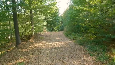 Walking on an empty mountain path Vídeo Stock 345720906