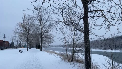 Walking in extremely cold weather 库存影片 236014605