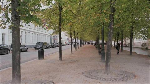Walking eye level view of De Dijver Park and canal, Bruges, Belgium Video stock 290212972