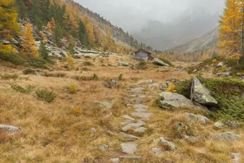 Walking at fall in a cloudy day in a mountain valley Stock Photos