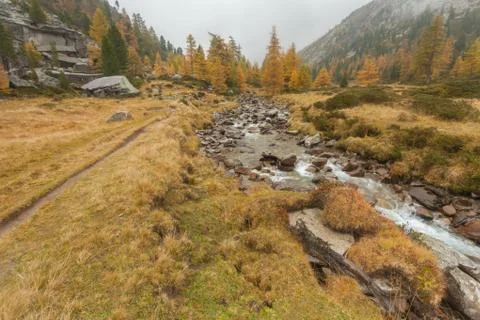 Walking at fall in a cloudy day next to a mountain stream Stock Photos