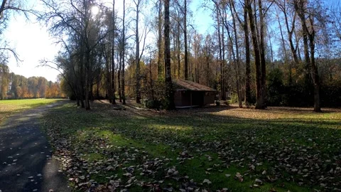 Walking on the Fall Leaf Enjoying the Nature of the Autumn Season Stock Footage 219519770