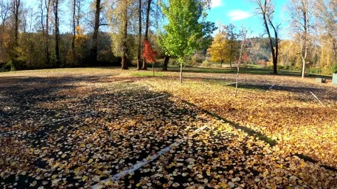 Walking on the Fall Leaf Enjoying the Nature of the Autumn Season Stock Footage 219519843