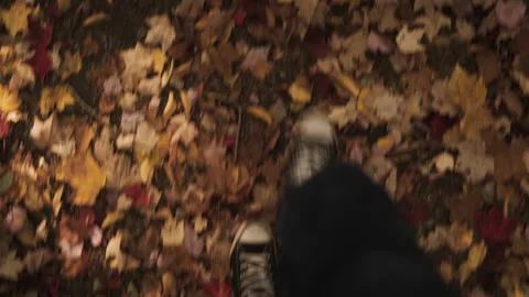 Walking on Fall Leaves Stock Footage 165414519