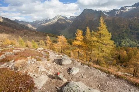 Walking at fall long a path in a mountain valley Stock Photos