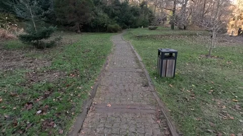 Walking In The Fall Park Background 스톡 동영상 339977291