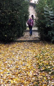 Walking in the fall Stock Photos