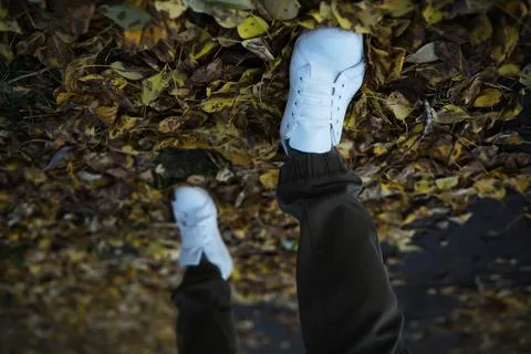 Walking in Fall: White Sneakers on Leaf-Covered Ground in Autumn Forest 스톡 사진