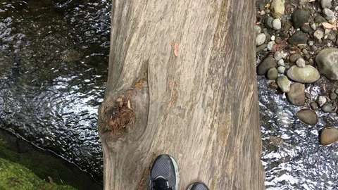 Walking on a fallen log over a creek Stock-Footage 91483810