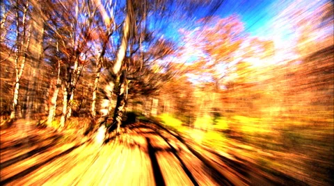 Walking FAST Amongst the Trees at a Park Stock Footage 49477055