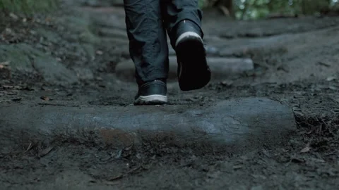 Walking feet in an enchanted forest. Close up of legs climbing stairs. Stock Footage 240868571