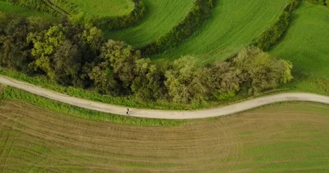 Walking in the field aerial view Stock Footage 220786584