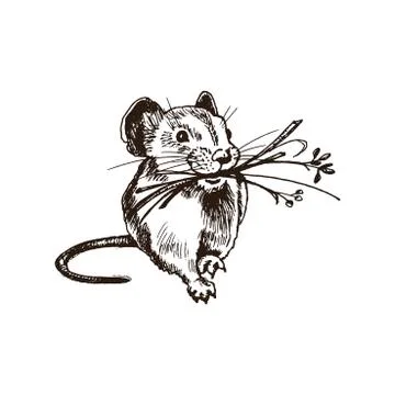 Walking Field Mouse with Grass Blades in Its Mouth Isolated on White Backgrou Stock Illustration