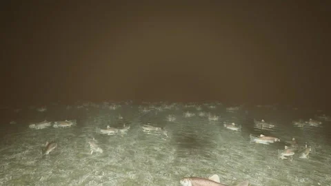 Walking in the fishes pond Stock Footage 248933366