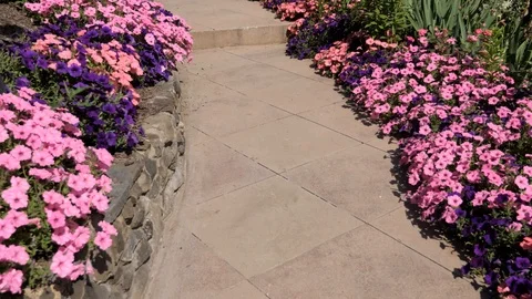 Walking a flower-lined sidewalk Stock Footage 110713854